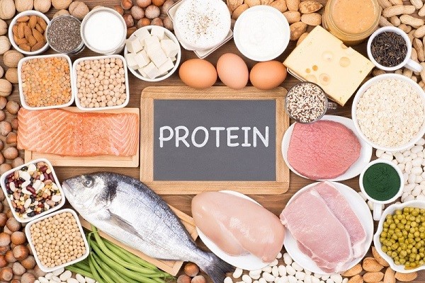 naghshe_protein_dar_azolesazi_1